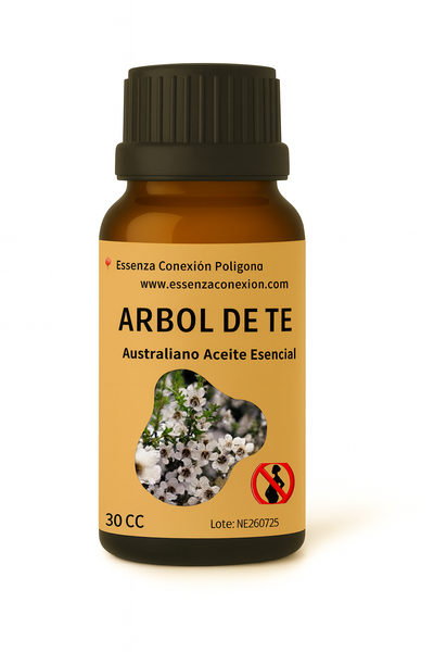 Aceite Esencial de Árbol de Té Australiano